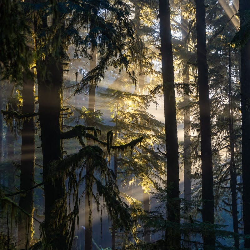 A Collection of Inspired Writings