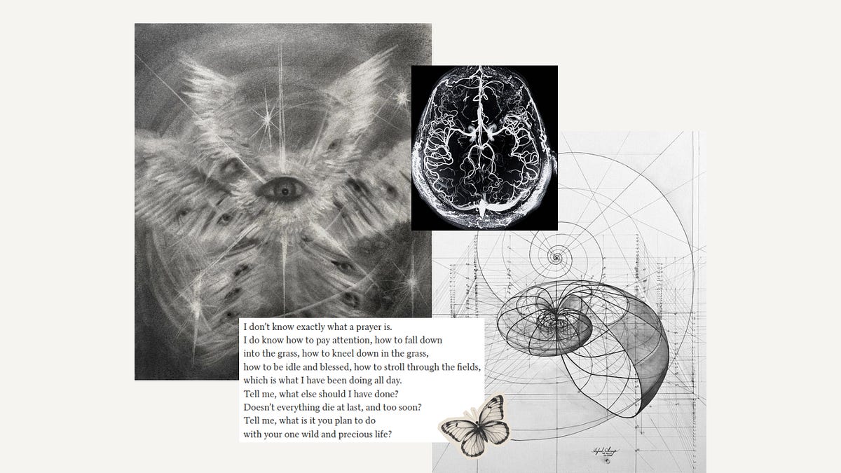 Another hobby won't save you - Sophia Theories