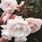 Kateřina Love - Zlatá Transformace