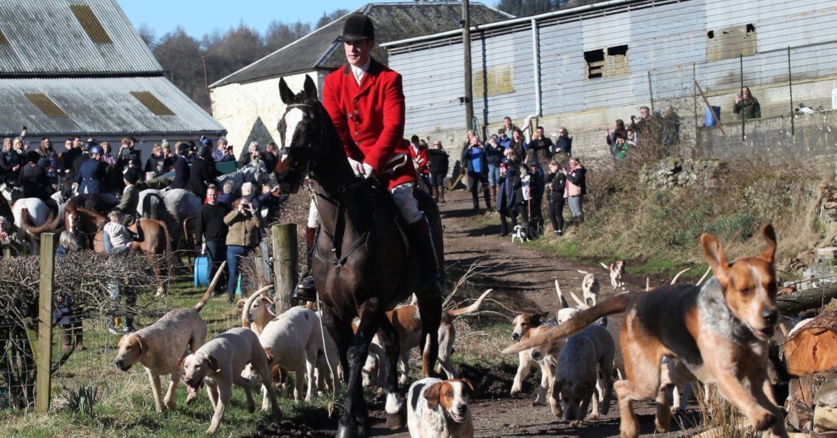 Lanarkshire and Renfrewshire foxhounds closing meet