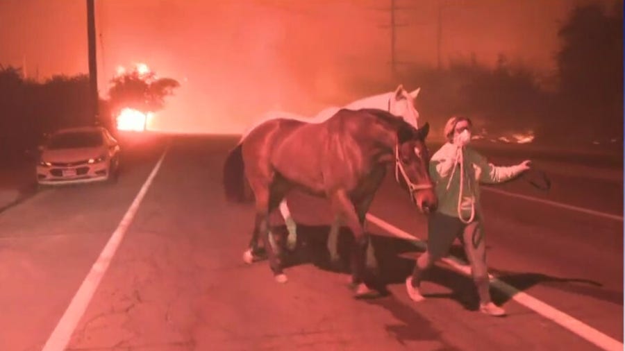 Eaton Fire in Pasadena claims 5 lives, scorches 10,600 acres | KTLA Eaton Fire in Pasadena claims 5 lives, scorches 10,600 acres | KTLA