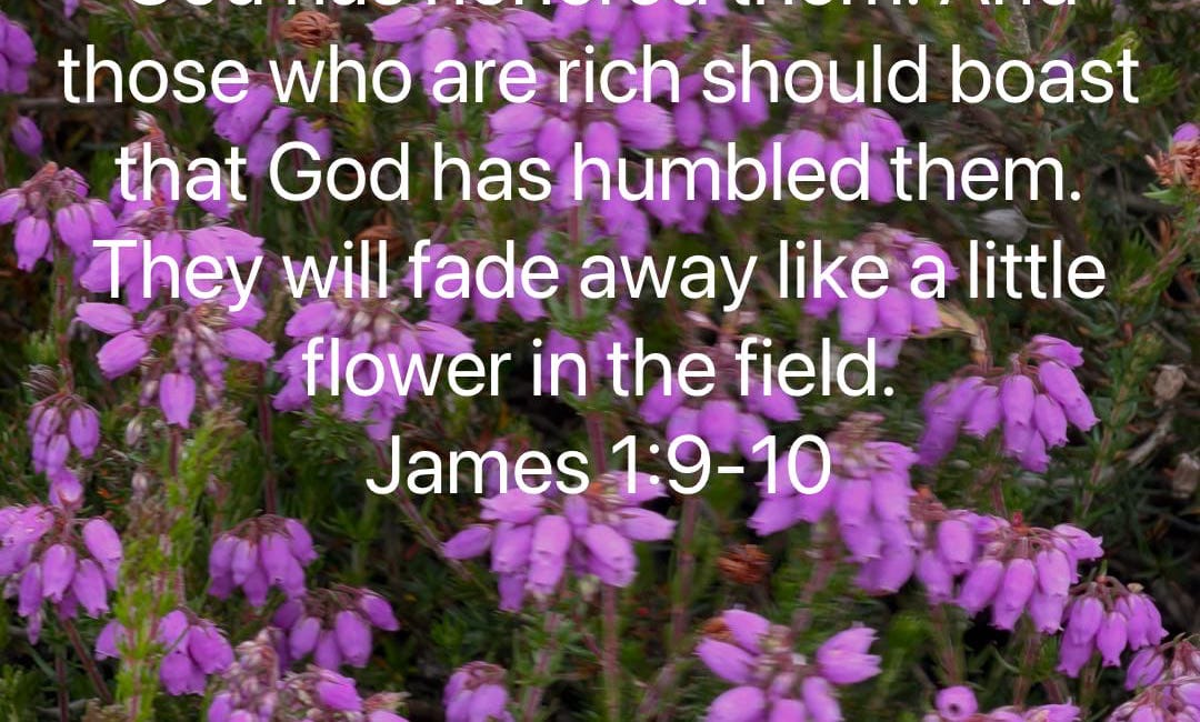 God honors the poor but humbles the rich in a world that does the opposite