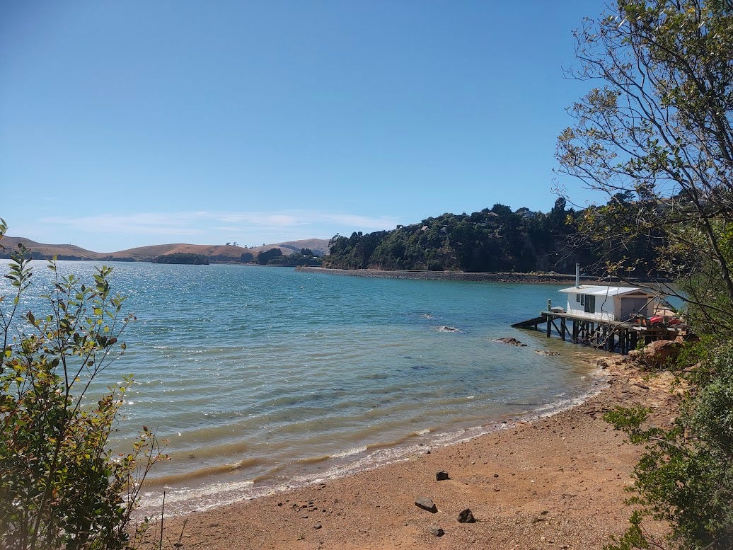 A calm coastal scene with clear blue water lapping against a small sandy and pebbly beach. On the right, a small white building sits on stilts over the shoreline, connected to a narrow wooden platform or jetty. Trees and bushes frame the right edge of the image, while low, golden-brown hills and patches of greenery stretch across the distant shoreline under a bright, cloudless blue sky. A calm coastal scene with clear blue water lapping against a small sandy and pebbly beach. On the right, a small white building sits on stilts over the shoreline, connected to a narrow wooden platform or jetty. Trees and bushes frame the right edge of the image, while low, golden-brown hills and patches of greenery stretch across the distant shoreline under a bright, cloudless blue sky.