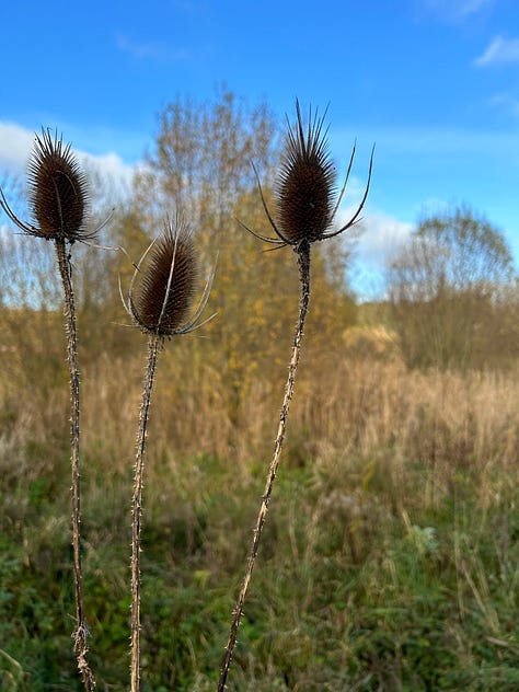 Photos from Langford Lakes, Wiltshire Images: Roland's Travels