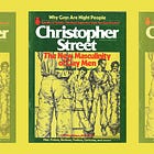Gay Masculinity and Its Discontents