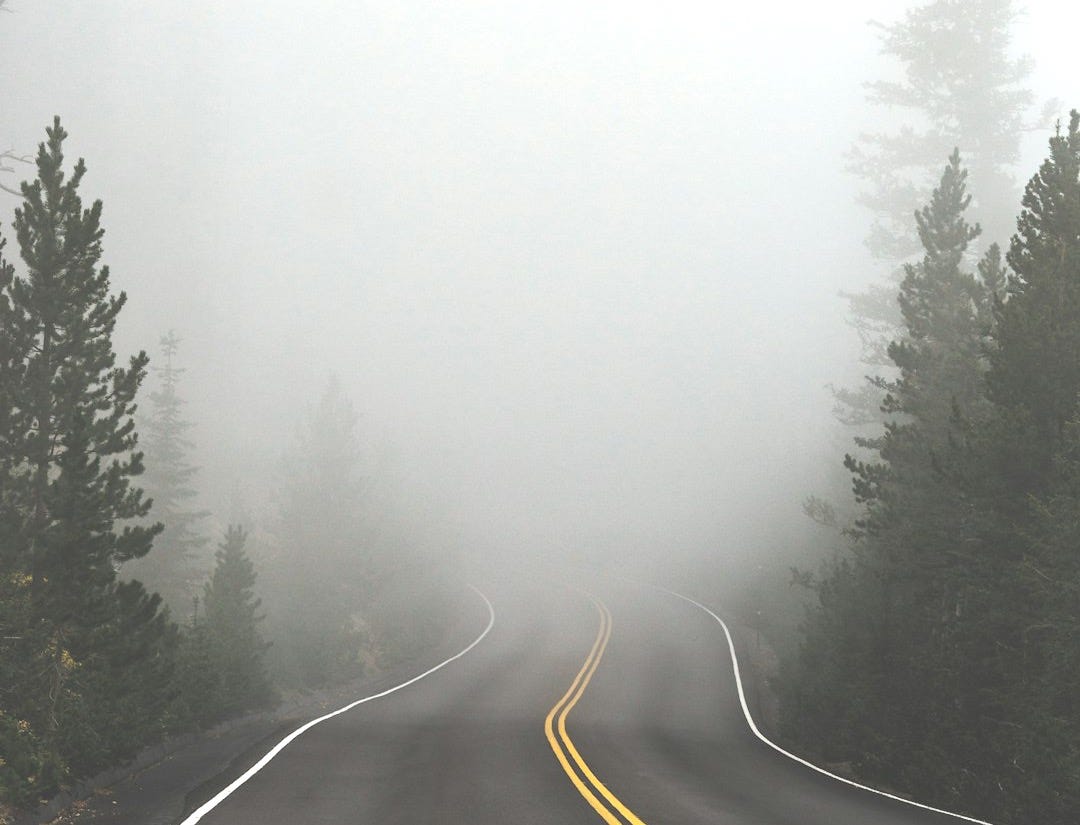 empty road surrounded with trees with fog