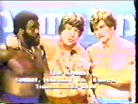Junkyard Dog & Ted Dibiase & Robert Fuller, Michael Hayes, Andre The Giant