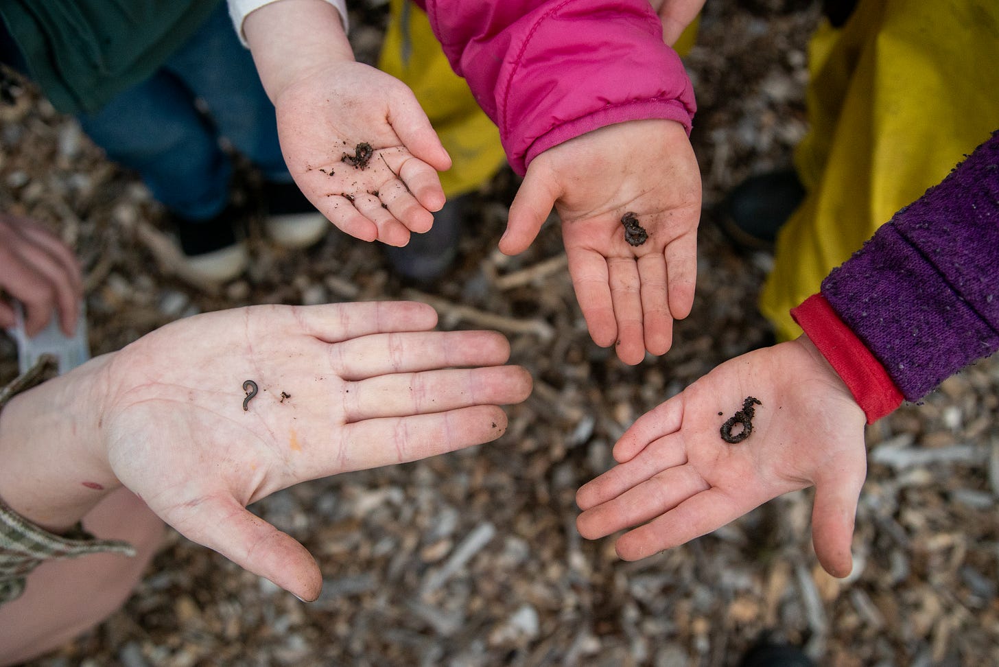 four hands, wearing bright colored jackets, hold a tiny worm which they show to the camera.