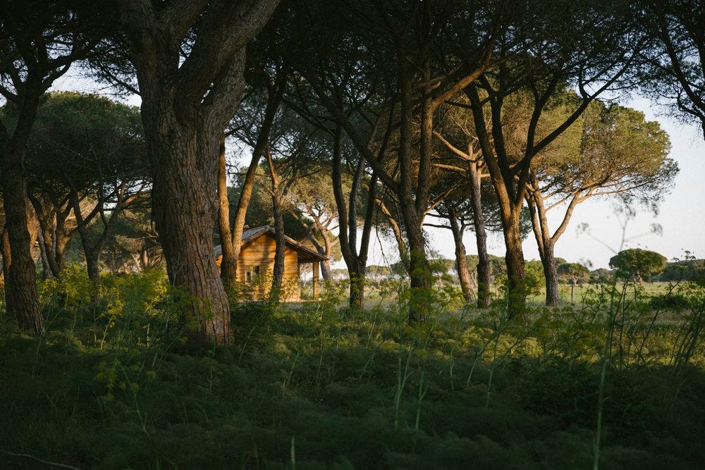 Tenuta san carlo_Saghar Setareh-18.jpg Tenuta san carlo_Saghar Setareh-18.jpg