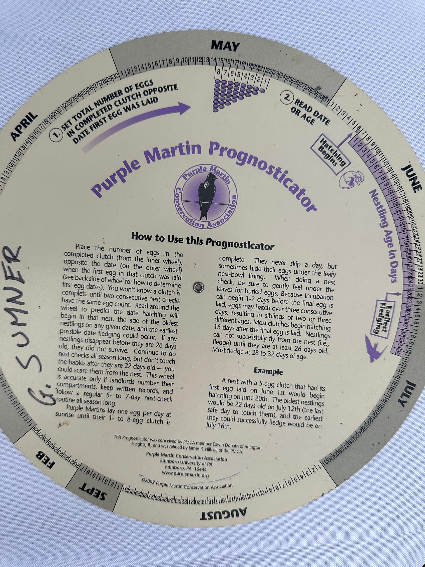 purple marting prognosticator