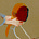 Avatar de Belisa.