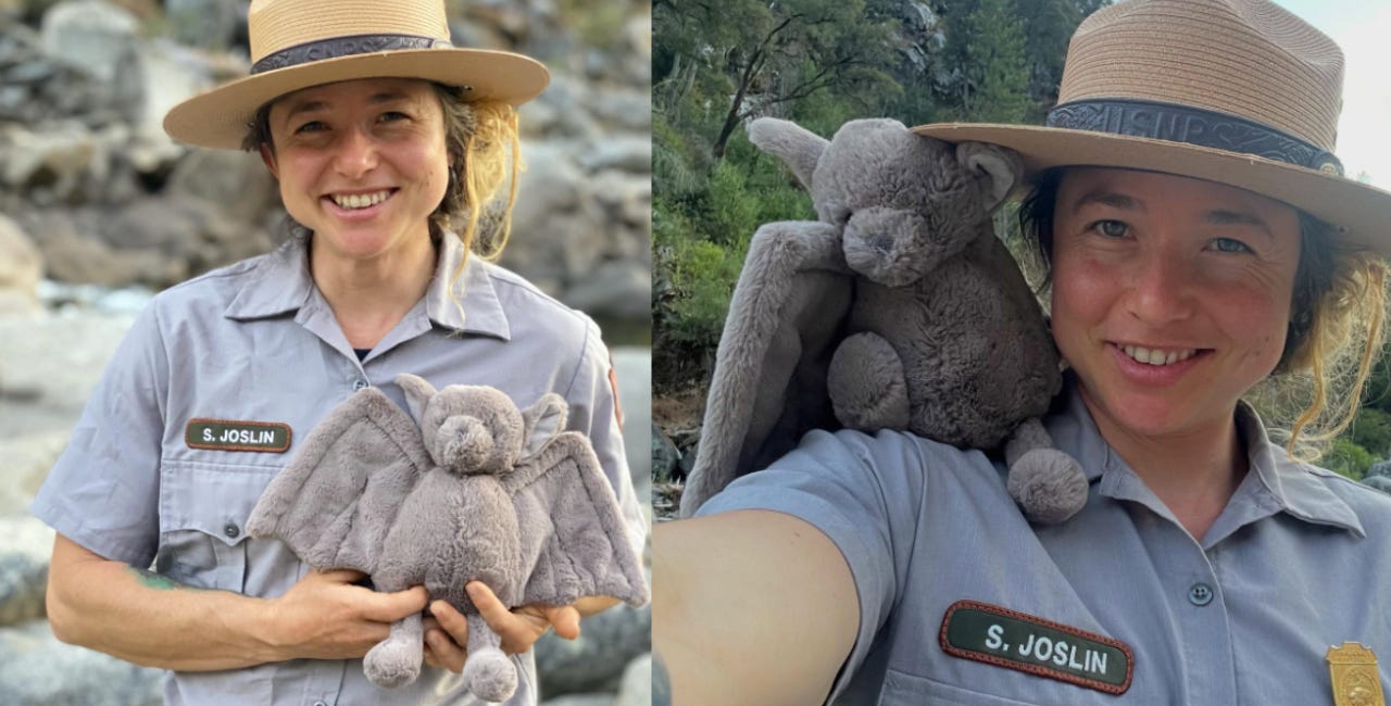 U.S. National Park Service Ranger Fired After Hanging Trans Flag On El Capitan In Yosemite National Park