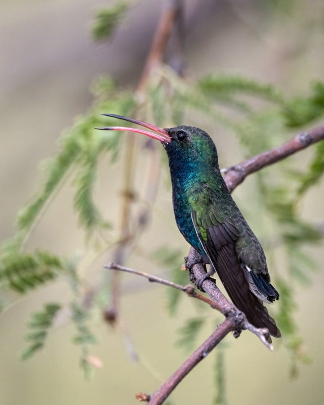 20241001-mby-208-Edit.jpg Oct 1.jpg 20241001-mby-208-Edit.jpg Oct 1.jpg