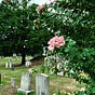 Here Lyes Cemetery Club's avatar
