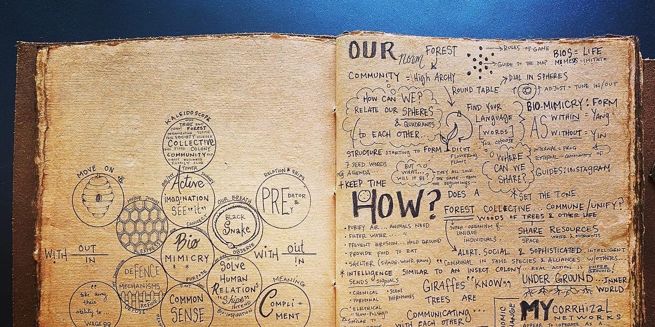 When Your Journal Becomes a Graphic Novel