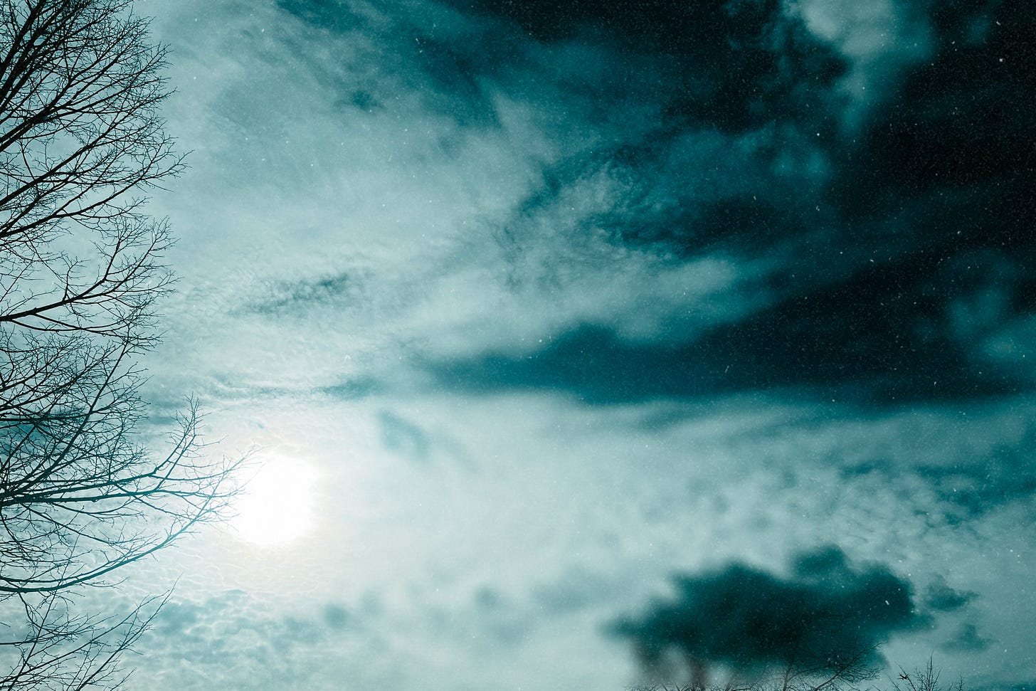 A blurry, blue-tinged picture of the moon behind clouds. In the corner, where the clouds have cleared, there is a starry sky. A skeletal tree frames the left-hand side of the photo.