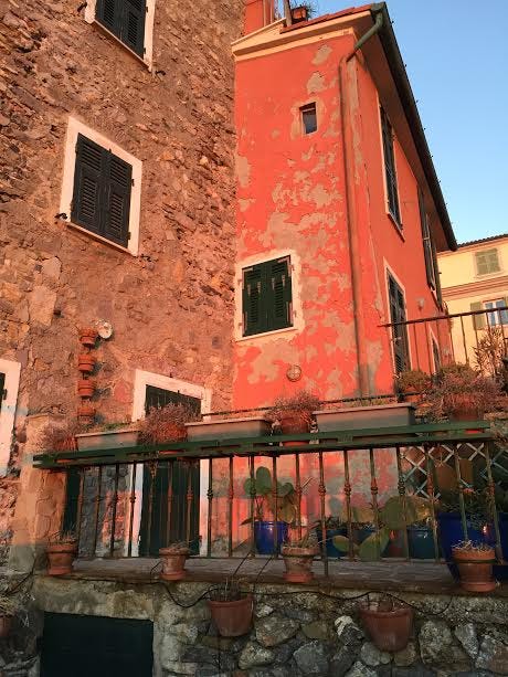 tellaro-pink-cottage-and-cactus tellaro-pink-cottage-and-cactus