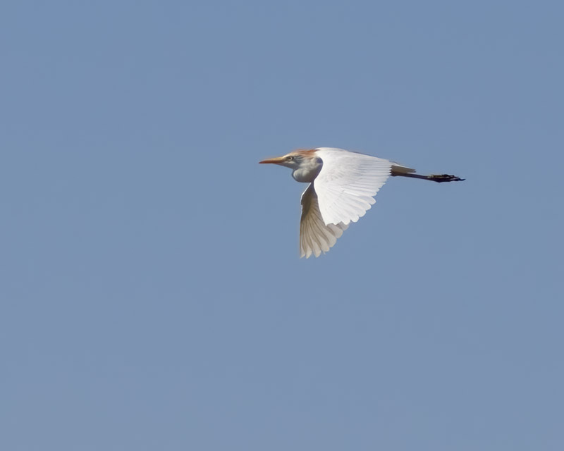 20250708-Stanfield-599-Edit.jpg 20250708-Stanfield-599-Edit.jpg