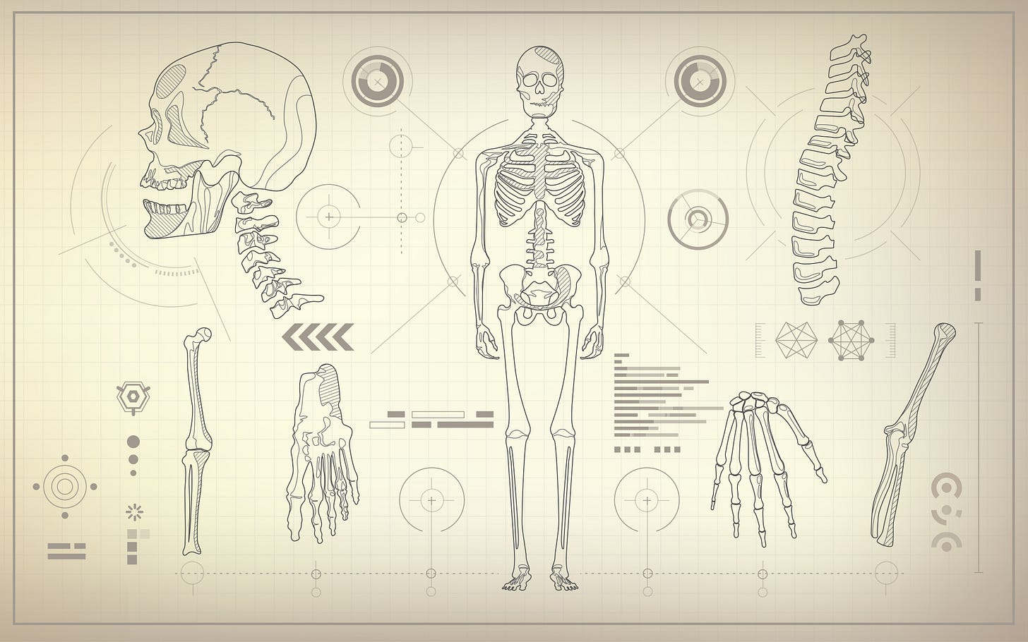 Skeletal diagrams