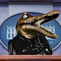 Dr RollerGator PhD's avatar
