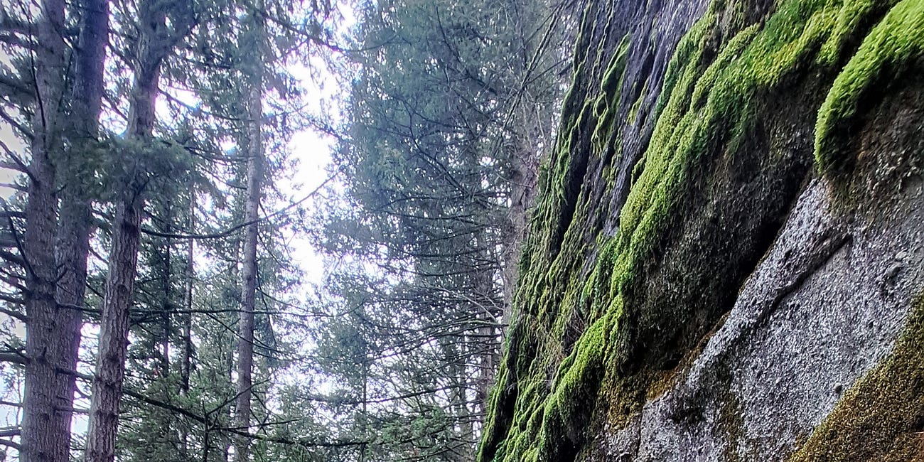 Rockin' Out on McKee Peak