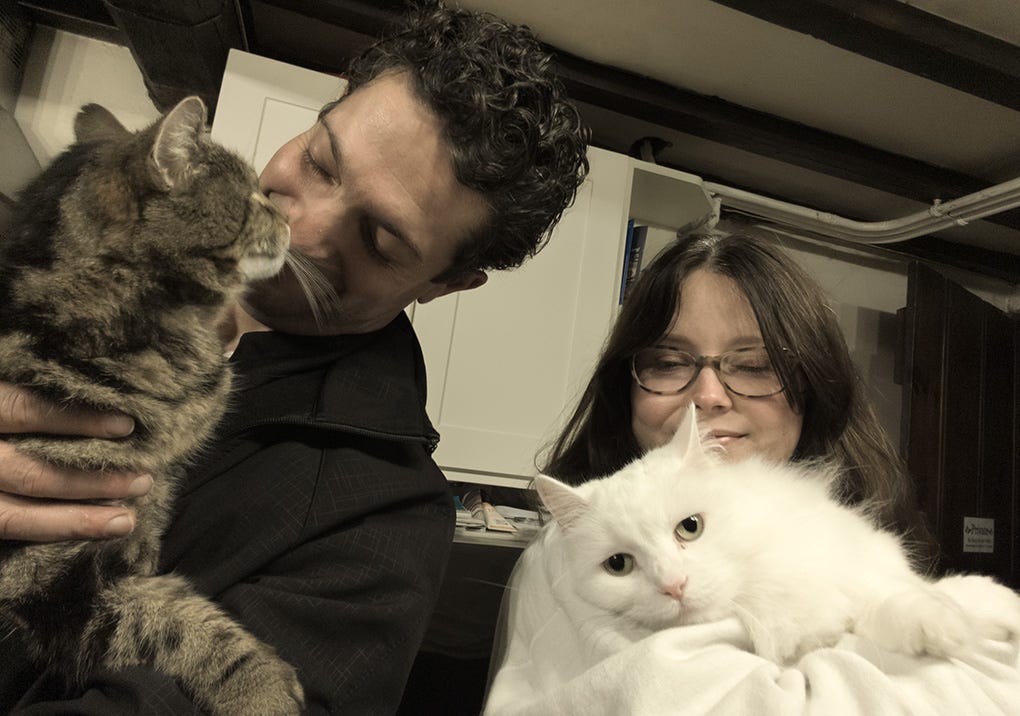 Me holding Tito Kitten, a short-haired tabby cat, who is touching his nose to mine; and Emma holding Pippa, a long-haired white cat who is looking at the camera with some disdain. All are in a small old-fashioned early 20th century kitchen with white cupboards and ceiling, but dark beams to hint at the building's Tudor origins. Me holding Tito Kitten, a short-haired tabby cat, who is touching his nose to mine; and Emma holding Pippa, a long-haired white cat who is looking at the camera with some disdain. All are in a small old-fashioned early 20th century kitchen with white cupboards and ceiling, but dark beams to hint at the building's Tudor origins.