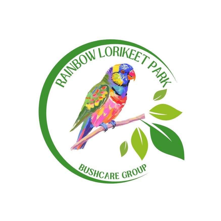 Rainbow Lorikeet Park Bushcare 