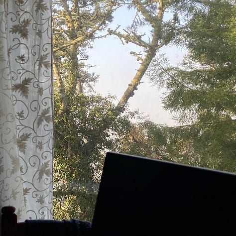 Images of morning light a few minutes apart