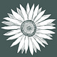 Eliciting Esperance
