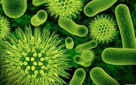File:Cellular-virus-wallpaper.jpg - Wikimedia Commons