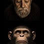 Monkeytraps's avatar