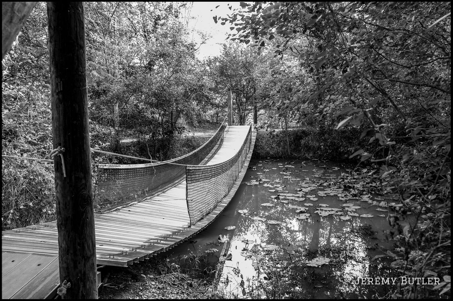 Black and white photo of a wooden suspension bridge with net railings crossing a pond covered in lily pads. Black and white photo of a wooden suspension bridge with net railings crossing a pond covered in lily pads.