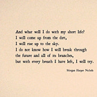 Nothing Makes Sense Right Now 