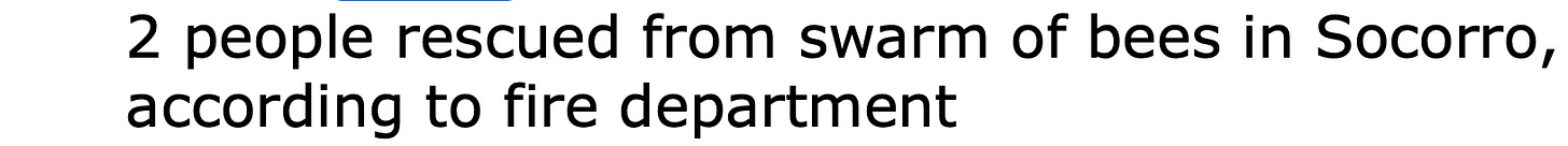 image 16.png image 16.png