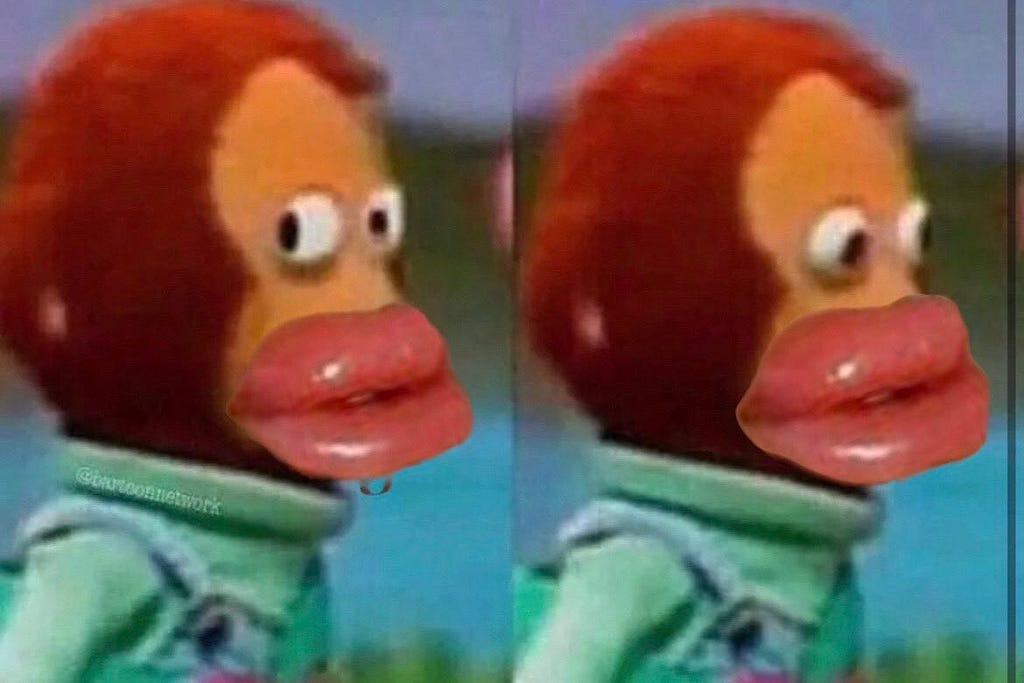 A monkey with lip injections gives an annoyed look before turning away.