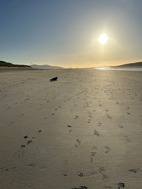 Photographs of Luskentyre Beach with Billy the Collie