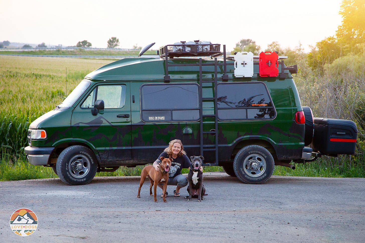 a woman and two dogs stand in front of a green van