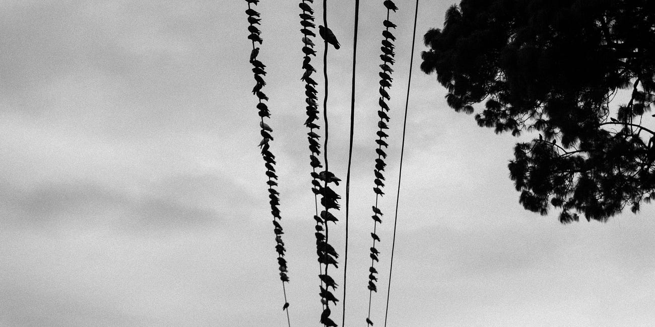 No confío en las latas que me quieren dar algo.