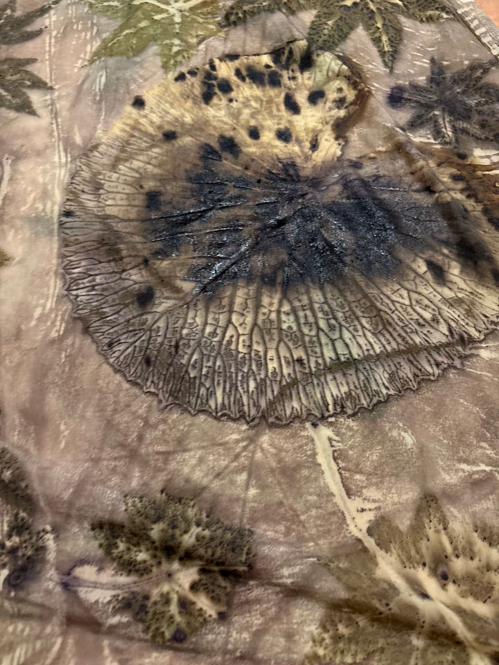 Eco-printed textile close-up showing circular botanical imprint detail.