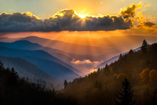 Great Smoky Mountain Pictures | Download Free Images on Unsplash Great Smoky Mountain Pictures | Download Free Images on Unsplash