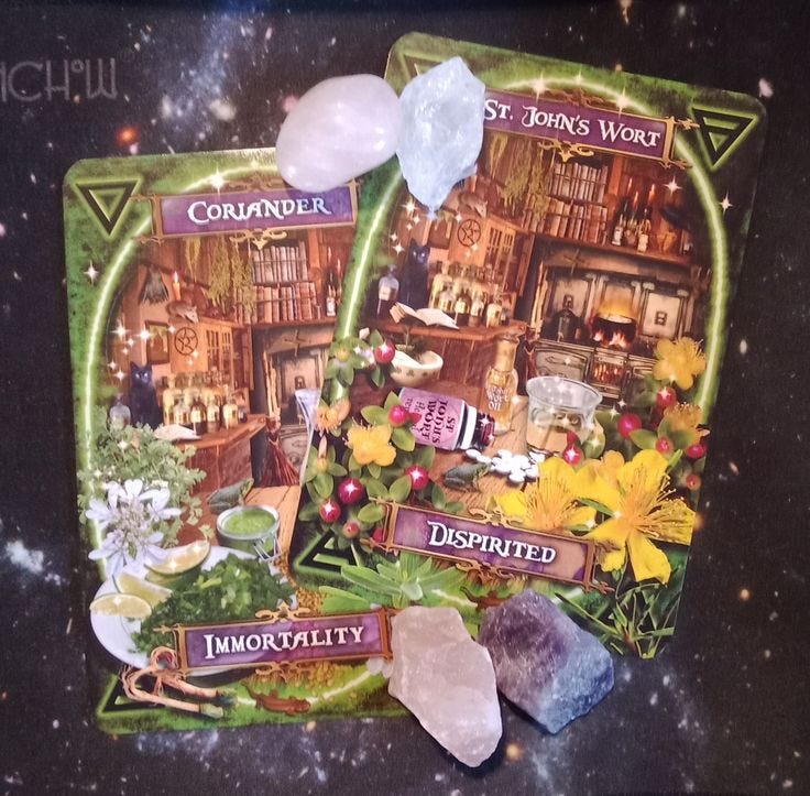 A Message From the Universe ~ Beware of Self-Doubt, Witches Kitchen Oracle Cards A Message From the Universe ~ Beware of Self-Doubt, Witches Kitchen Oracle Cards