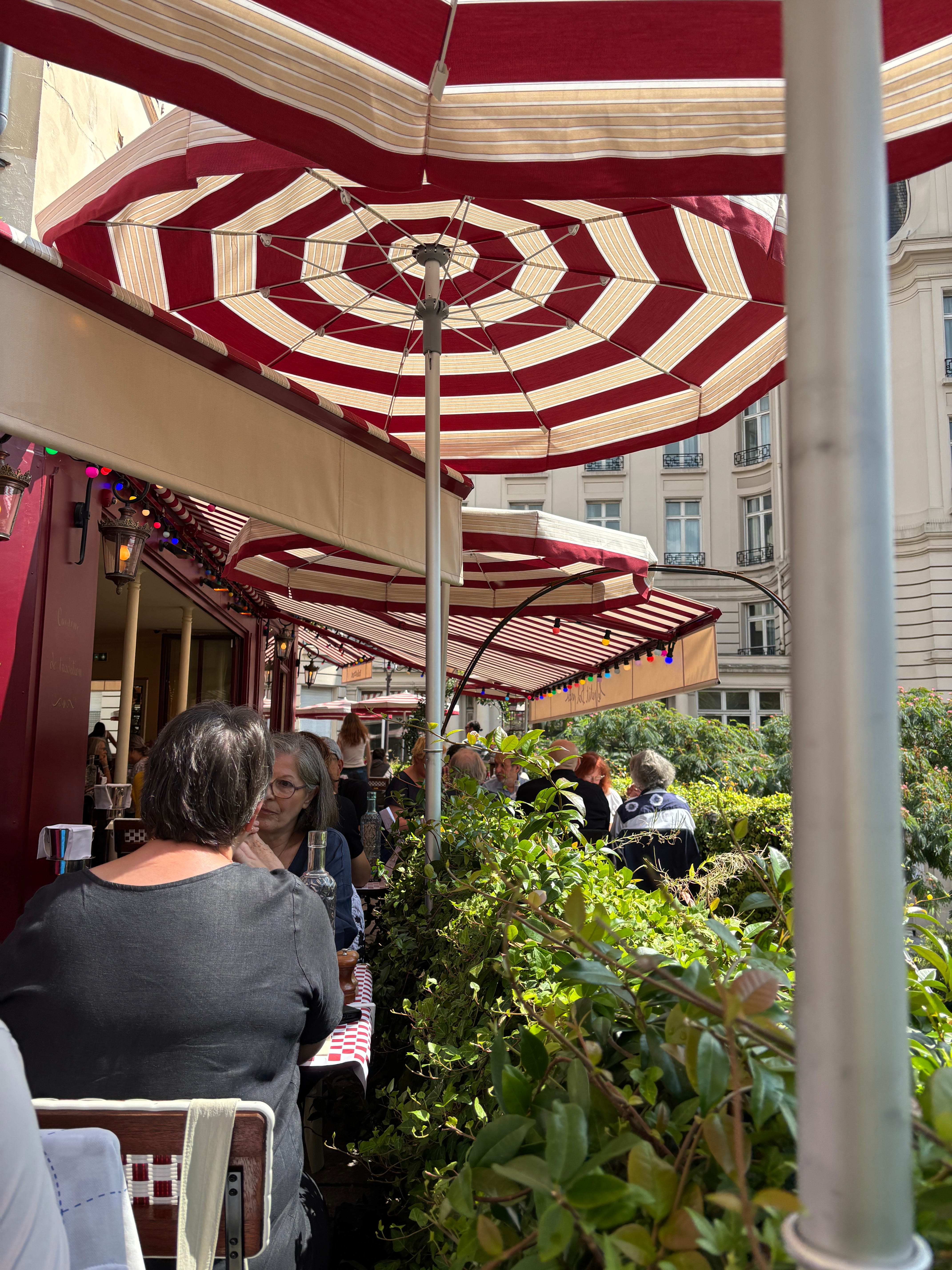Paris Dining and Restaurants - David Lebovitz Newsletter