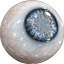 User's avatar