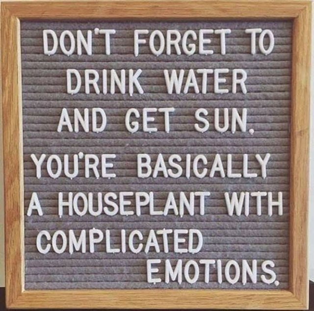 We are basically plants with complex emotions.