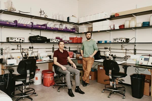 Meet the Xenobots, Virtual Creatures Brought to Life - The New York Times