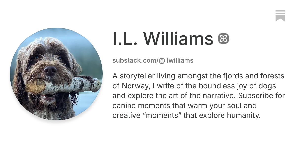 I.L. Williams | Substack