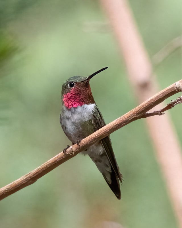 20250721-MillerCanyon-186-Edit.jpg 20250721-MillerCanyon-186-Edit.jpg
