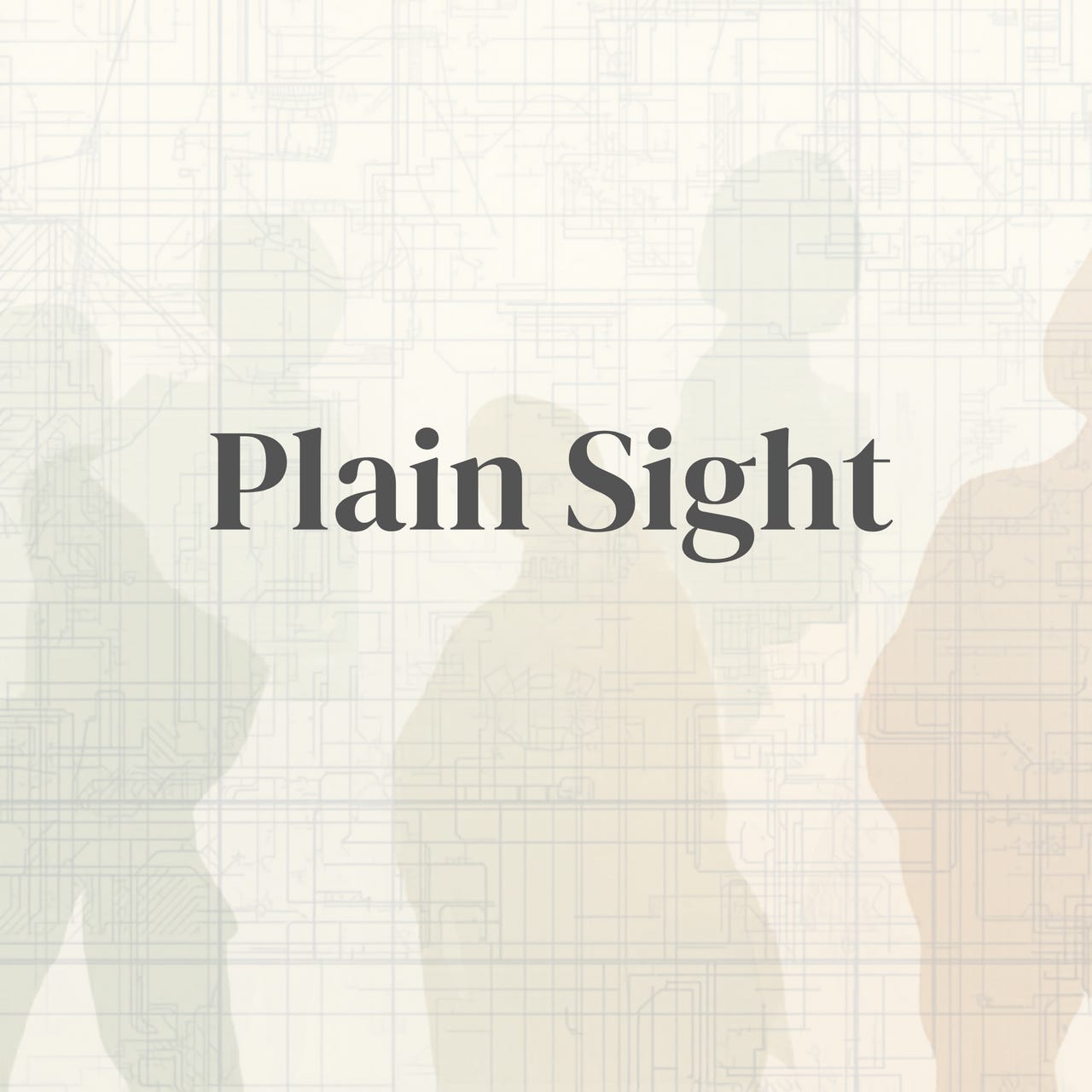 Plain Sight