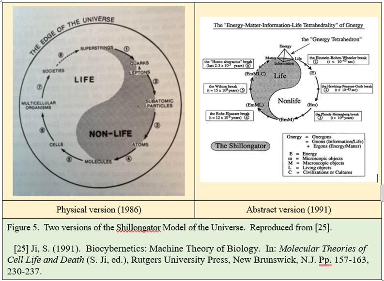 A diagram of the yin yang

AI-generated content may be incorrect.