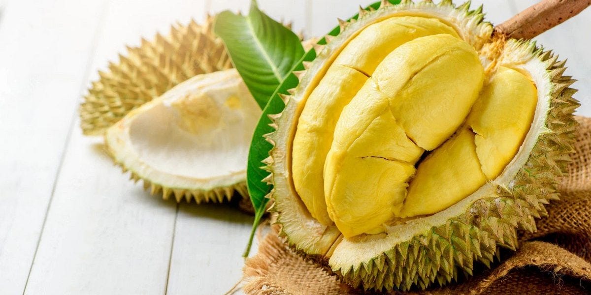 Vietnamese durian fruits - King of fruits in Vietnam
